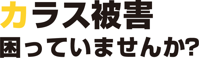カラス被害に困っていませんか