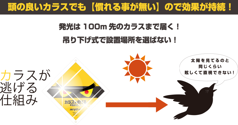 ハイパーカラスシールドは頭の良いカラスにも効き目あり！