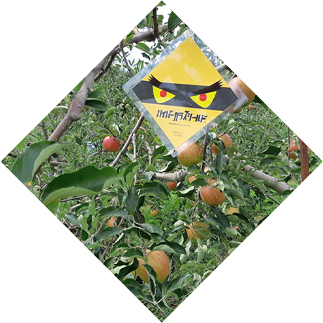 農作物をカラスから守ります