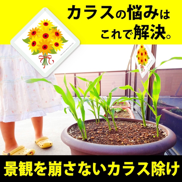 ハイパーカラスシールドフラワー2枚入り